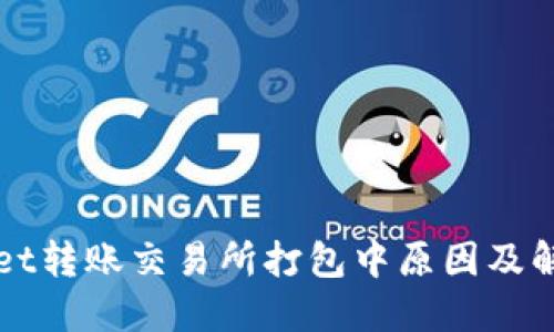 TPWallet转账交易所打包中原因及解决方案