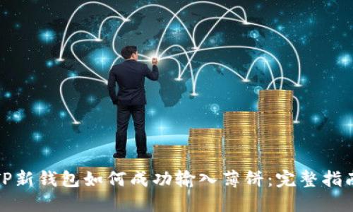 TP新钱包如何成功输入薄饼：完整指南
