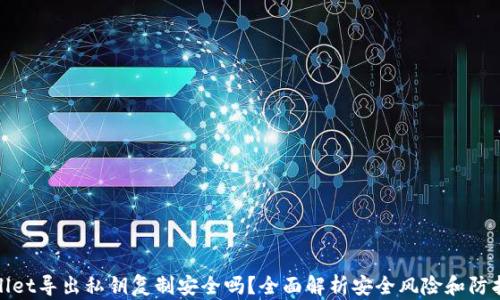 
TPWallet导出私钥复制安全吗？全面解析安全风险和防护措施