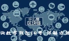 如何查询数字钱包ID号：详解方法与技巧