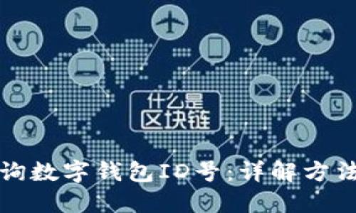 如何查询数字钱包ID号：详解方法与技巧