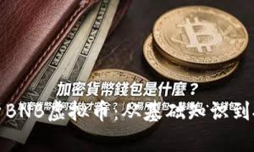 深入解析BNB虚拟币：从基础知识到投资策略