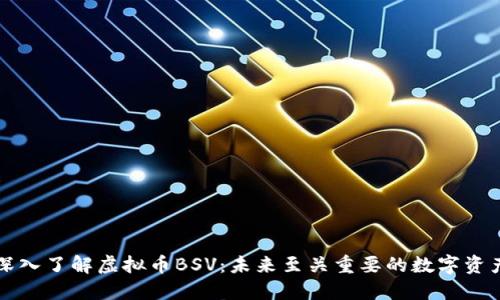 深入了解虚拟币BSV：未来至关重要的数字资产