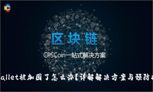 tpwallet被加固了怎么办？详解解决方案与预防措施