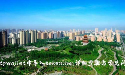 如何在tpwallet中导入token.im:详细步骤与常见问题解答