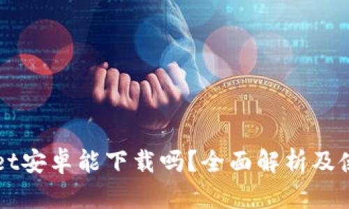TPWallet安卓能下载吗？全面解析及使用指南
