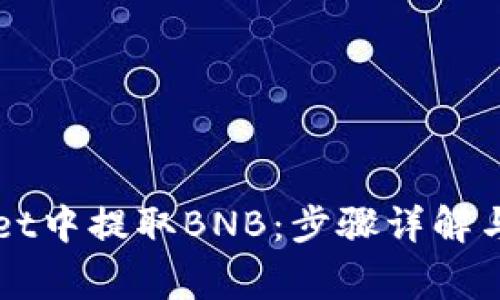 如何在TPWallet中提取BNB：步骤详解与常见问题解析
