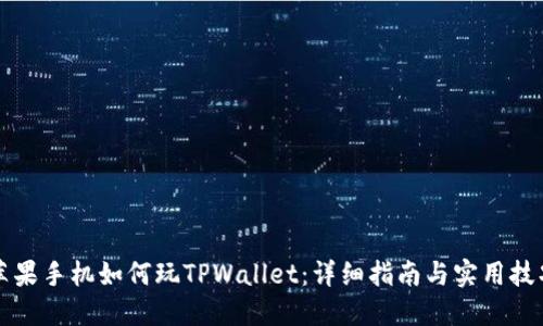 苹果手机如何玩TPWallet：详细指南与实用技巧