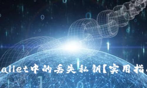 如何恢复tpwallet中的丢失私钥？实用指南与解决方案