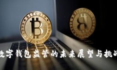 数字钱包监管的未来展望与挑战
