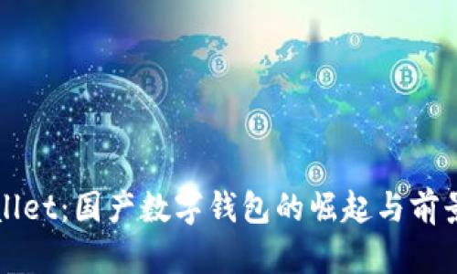 TPWallet：国产数字钱包的崛起与前景分析