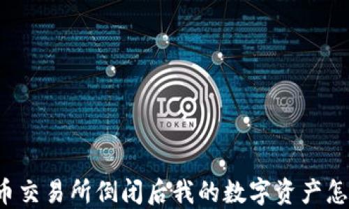 
虚拟币交易所倒闭后我的数字资产怎么办？