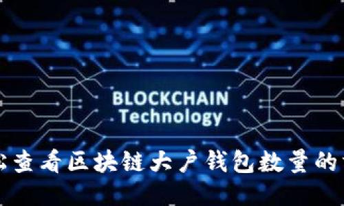 轻松查看区块链大户钱包数量的方法