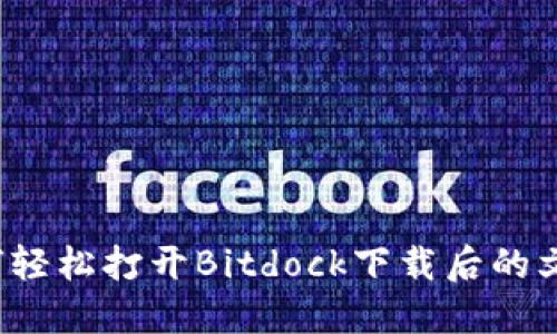 如何轻松打开Bitdock下载后的文件？