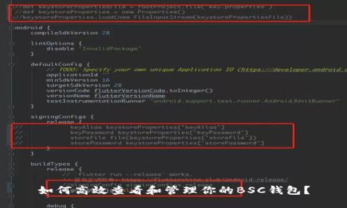 如何高效查看和管理你的BSC钱包？