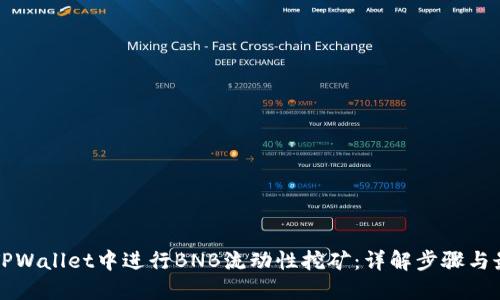 如何在TPWallet中进行BNB流动性挖矿：详解步骤与最佳实践
