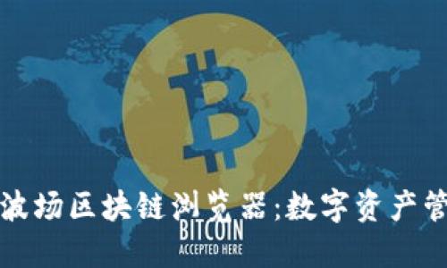 全面了解波场区块链浏览器：数字资产管理的利器