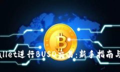 如何使用TPWallet进行BUSD交易：新手指南与常见问