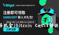 如何利用比特币现金（Bitcoin Cash）解决投资者的