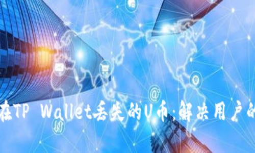 如何找回在TP Wallet丢失的U币：解决用户的财务痛点