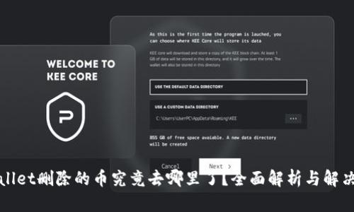 TPWallet删除的币究竟去哪里了？全面解析与解决方案