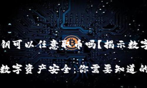 有TPWallet的私钥可以任意取币吗？揭示数字资产安全的真相

TPWallet私钥与数字资产安全：你需要知道的真相