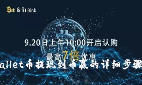 TPWallet币提现到币赢的详细步骤指南