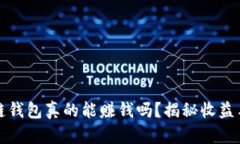 区块链钱包真的能赚钱吗？揭秘收益与风险