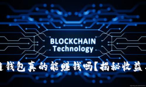 区块链钱包真的能赚钱吗？揭秘收益与风险