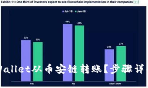 如何使用TPWallet从币安链转账？步骤详解与技巧分享