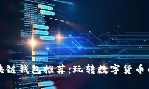 国内常用区块链钱包推荐：玩转数字货币的安全守护者