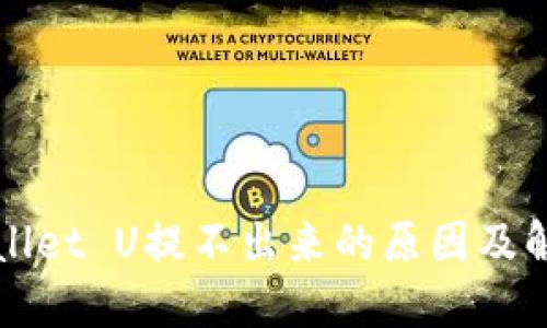: TPWallet U提不出来的原因及解决方法