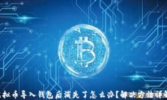 虚拟币导入钱包后消失了怎么办？解决方法详解