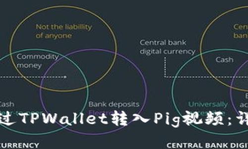 如何通过TPWallet转入Pig视频：详尽指南