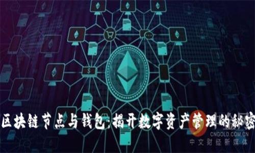 区块链节点与钱包：揭开数字资产管理的秘密