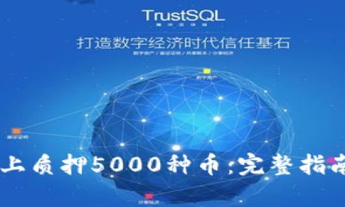 如何在TPWallet上质押5000种币：完整指南与用户痛点解析