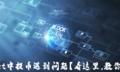 在TPWallet中提币遇到问题？看这里，教你快速解决