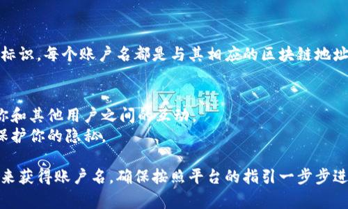 在 tpwallet 中，账户名通常是用户在注册时创建的唯一标识。每个账户名都是与其相应的区块链地址相连接的。作为用户，在选择账户名时，建议考虑以下几点：

1. **唯一性**：确保你的账户名在平台上是独一无二的。
2. **易记性**：选择一个易于记忆和拼写的名称，以便于你和其他用户之间的互动。
3. **安全性**：避免使用与个人信息直接相关的名称，以保护你的隐私。

在使用 tpwallet 时，你可以通过创建或导入钱包的方式来获得账户名。确保按照平台的指引一步步进行，以确保安全和正确性。