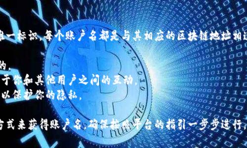 在 tpwallet 中，账户名通常是用户在注册时创建的唯一标识。每个账户名都是与其相应的区块链地址相连接的。作为用户，在选择账户名时，建议考虑以下几点：

1. **唯一性**：确保你的账户名在平台上是独一无二的。
2. **易记性**：选择一个易于记忆和拼写的名称，以便于你和其他用户之间的互动。
3. **安全性**：避免使用与个人信息直接相关的名称，以保护你的隐私。

在使用 tpwallet 时，你可以通过创建或导入钱包的方式来获得账户名。确保按照平台的指引一步步进行，以确保安全和正确性。