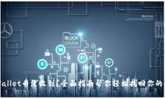 TPWallet币没收到？全面指南帮你轻松找回你的资产