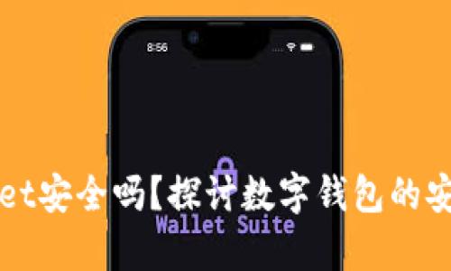 安卓下载TPWallet安全吗？探讨数字钱包的安全性与防护技巧