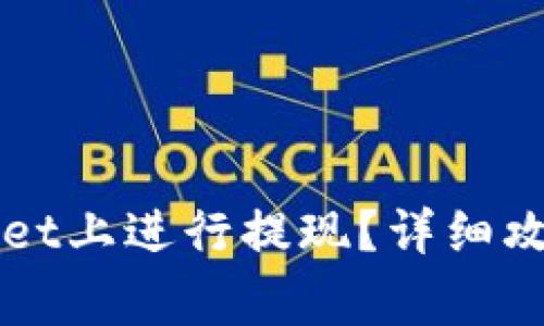 如何在TPWallet上进行提现？详细攻略与注意事项