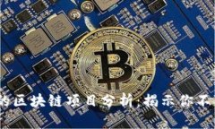 2023年排名前十的区块链项目分析：揭示你不可错