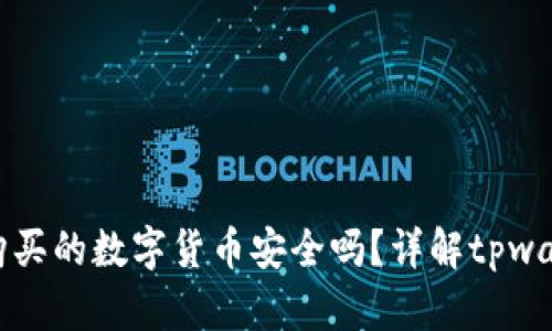 tpwallet上购买的数字货币安全吗？详解tpwallet使用指南