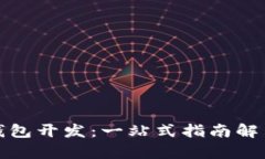 如何选择数字钱包开发：一站式指南解决您的所