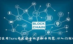 如何使用Java开发安全的虚拟币钱包：从入门到精