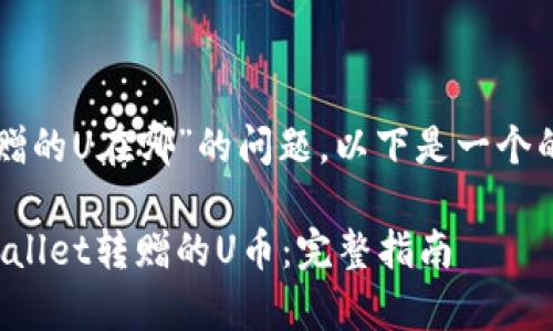 关于“tpwallet转赠的U在哪”的问题，以下是一个的和相关内容结构：

如何迅速找到tpwallet转赠的U币：完整指南