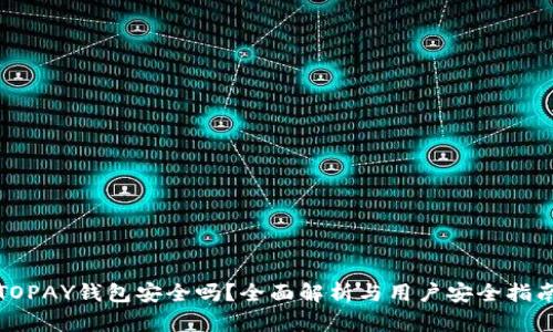 TOPAY钱包安全吗？全面解析与用户安全指南