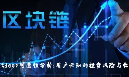 Bitdeer可靠性分析：用户必知的投资风险与收益