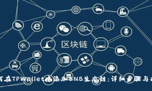 如何在TPWallet中添加BNB生态链：详细步骤与指南